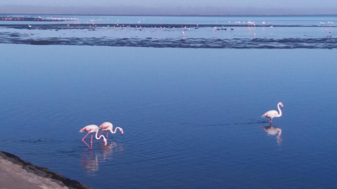 Haus Schaaf B&B Walvis Bay Eksteriør bilde